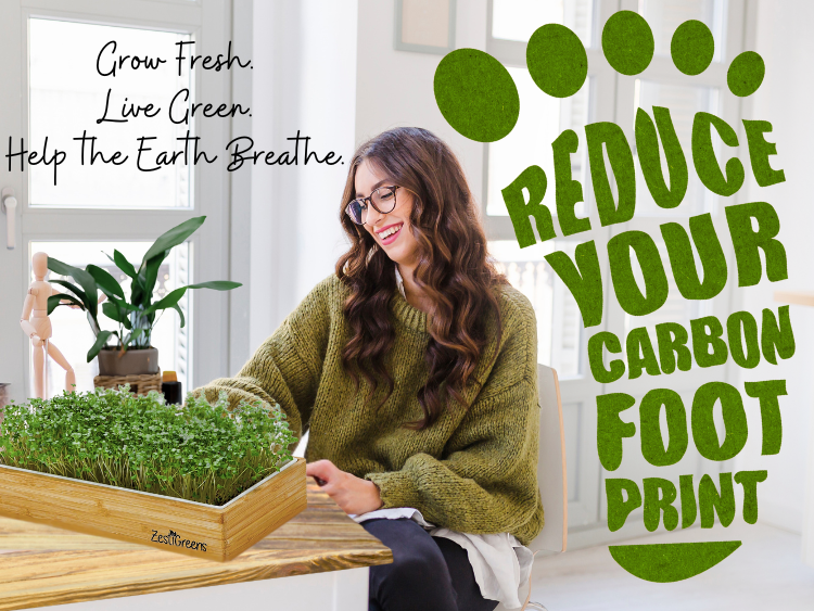 Microgreens and Sustainable Living: Reduce Your Carbon Footprint