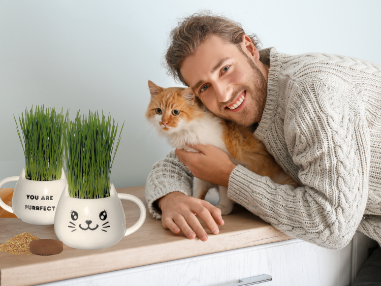 5 Surprising Health Benefits of Cat Grass for Your Feline Friend đżđž