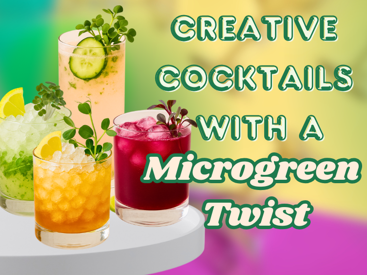 Creative Cocktails with Microgreens — cover image showing four colorful cocktails garnished with microgreens on a round table.