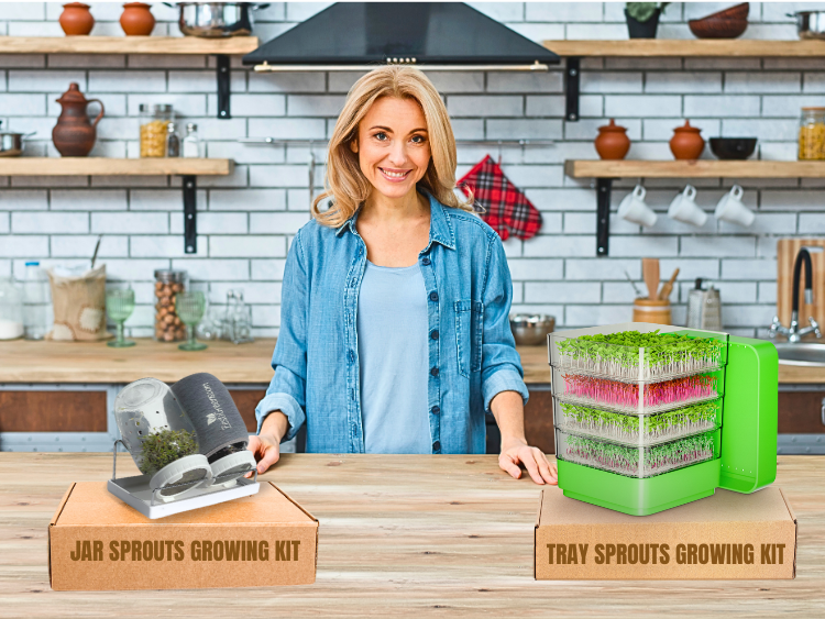Best Sprouting Methods: Jar or Tray—Which One Works Best?