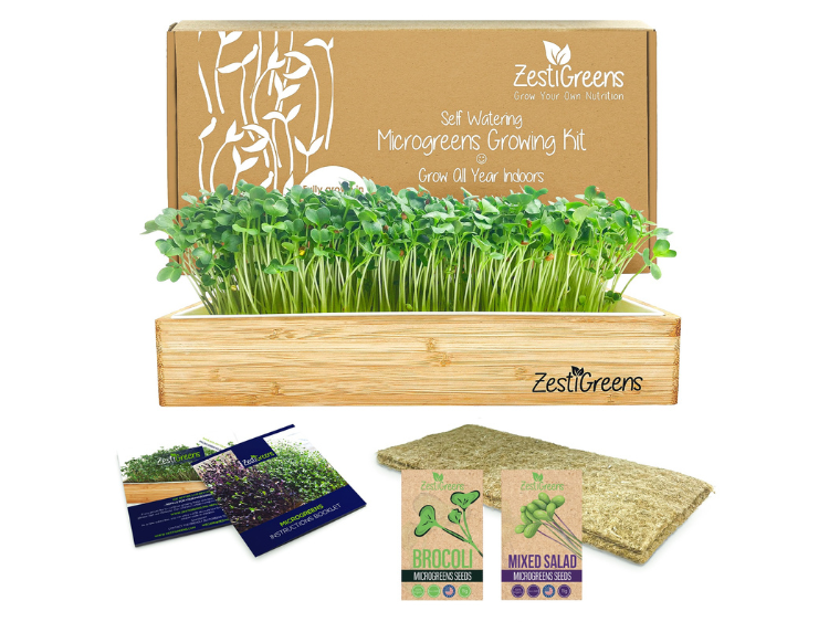 Organic Microgreens Seed Kits: Grow Fresh, Nutrient-Dense Greens at Home