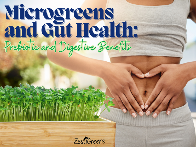 Microgreens and Gut Health: Prebiotic and Digestive Benefits