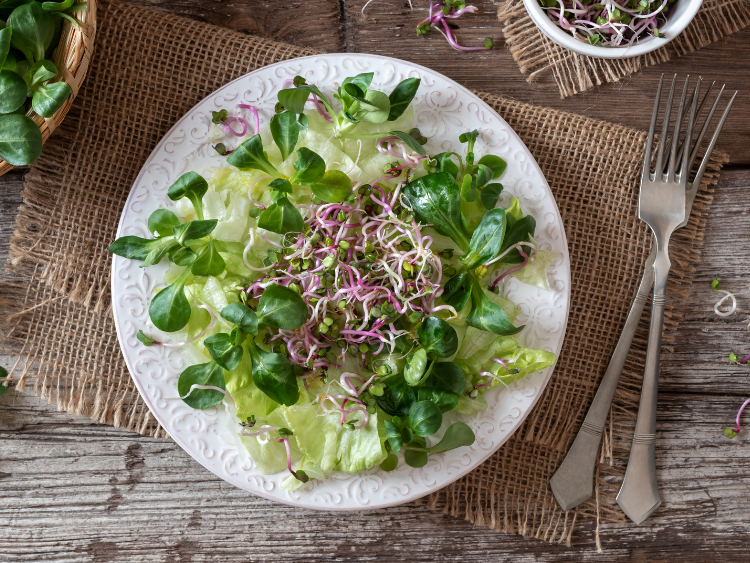 "fresh-lambs-lettuce-and-radish-sprout-salad-on-rustic-plate