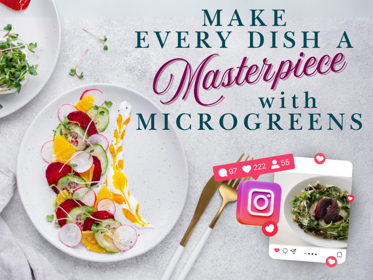 Colorful microgreen-topped dishes styled on white plates with gold utensils and Instagram icons, promoting food styling with ZestiGreens microgreens.