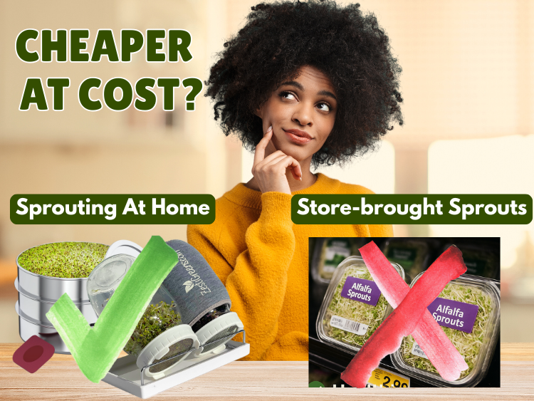 Why Sprouting at Home Is Cheaper and Healthier Than Store-Bought Sprouts?