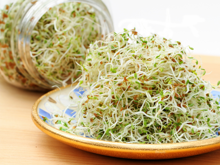 How to Store Fresh Sprouts to Keep Them Crisp and Nutrient-Rich