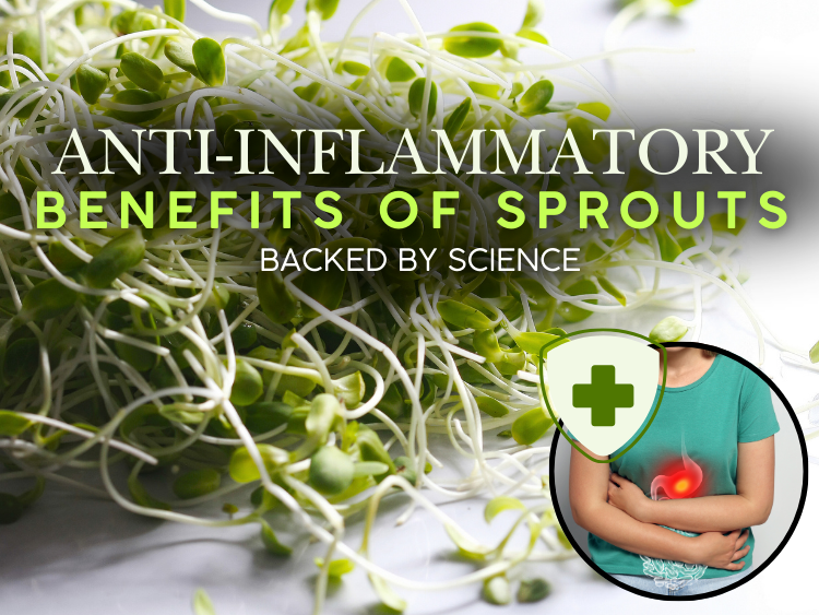 The Anti-Inflammatory Benefits of Sprouts: What Science Says