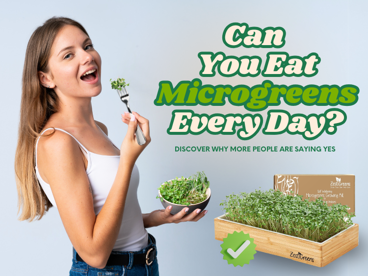 Can You Eat Microgreens Every Day? Discover the Daily Benefits