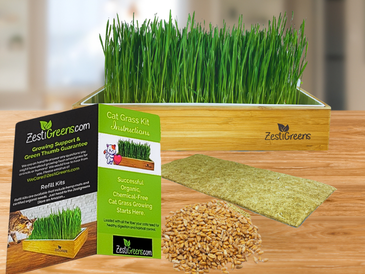 The Ultimate Guide to Growing Cat Grass at Home: Tips for a Thriving Indoor Garden