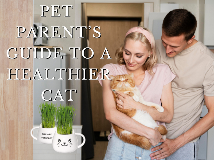 Happy couple holding their orange cat in a cozy kitchen, with a cute mug of fresh cat grass nearby and the title “Pet Parent’s Guide to a Healthier Cat”