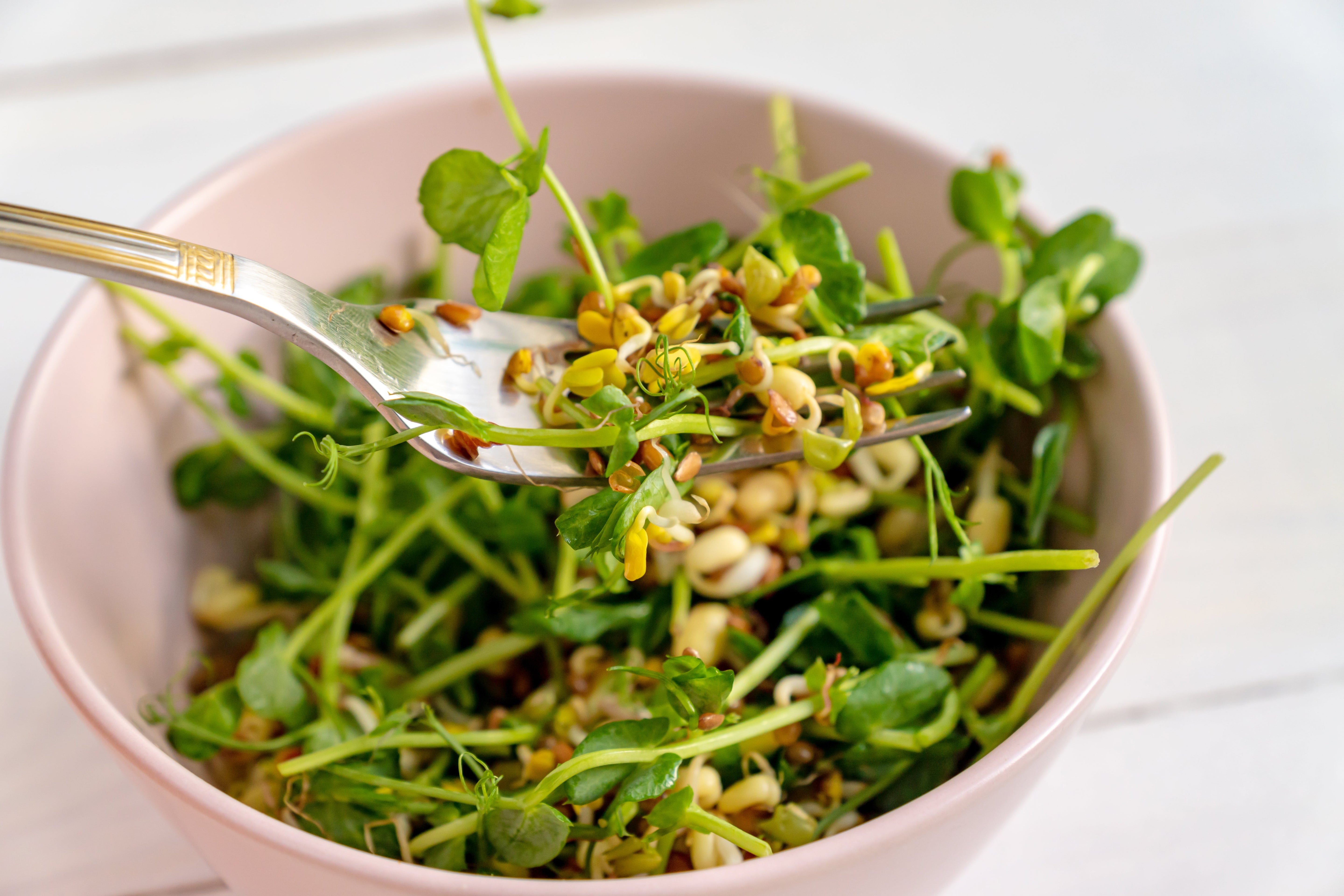 The Green Pulse Bowl: Microgreens & Sprouts Edition