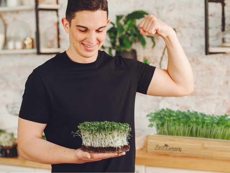 Why Homegrown Microgreens Are the Future of Healthy Eating?
