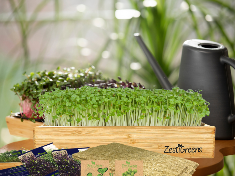 Are Microgreens Worth It? Cost vs. Nutrition