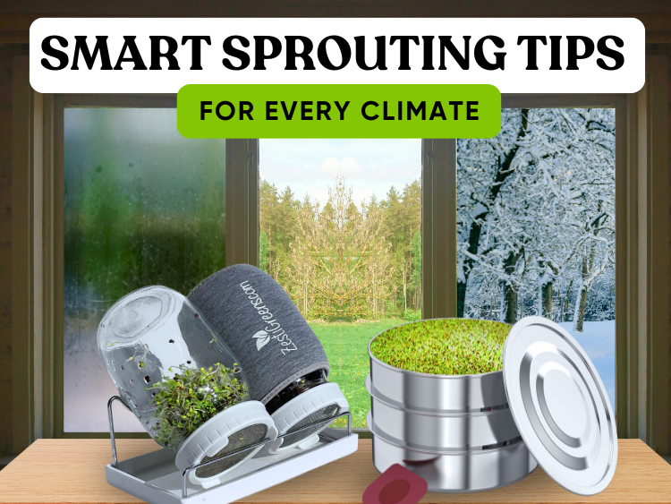 Sprouting in Different Climates: Tips for Hot, Humid, or Cold Conditions