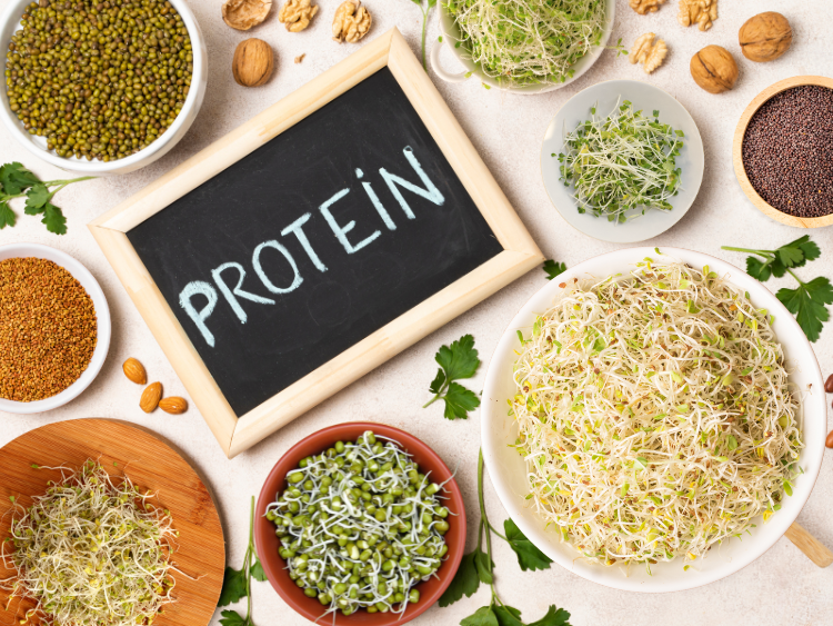 5 High-Protein Sprouts for Plant-Based Muscle Growth