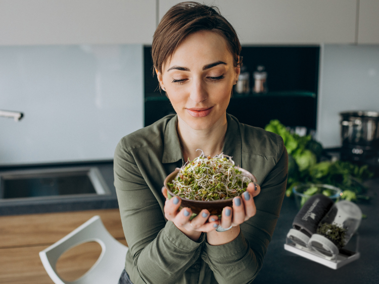 Why Do My Sprouts Smell Bad? Common Mistakes & How to Fix Them?