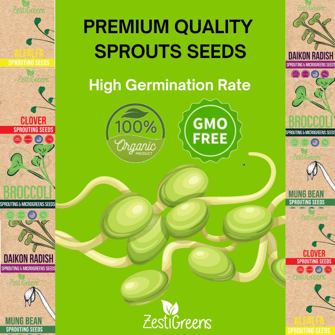 Sprouting Seeds Packets