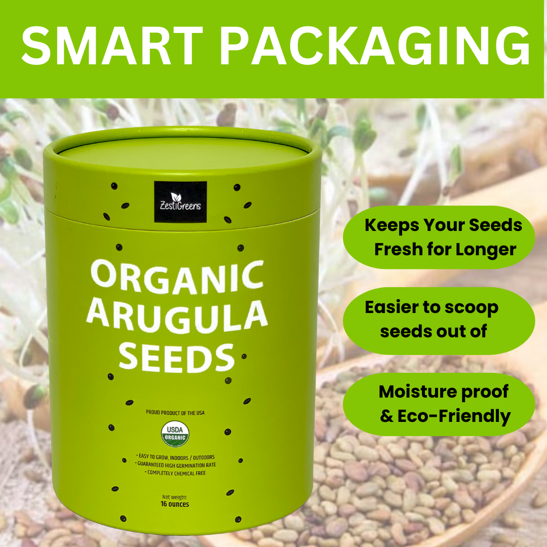 Arugula Seeds