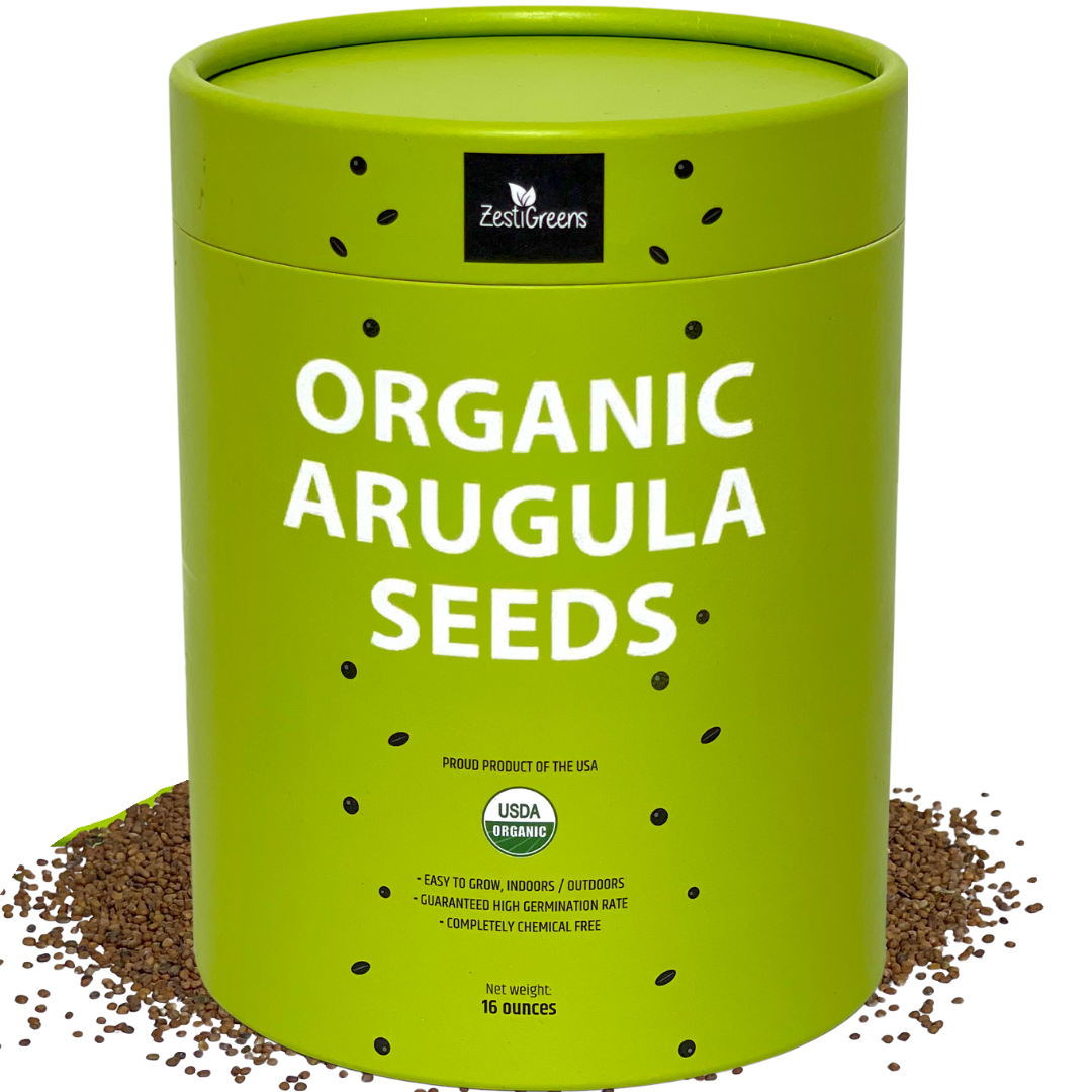 Arugula Seeds