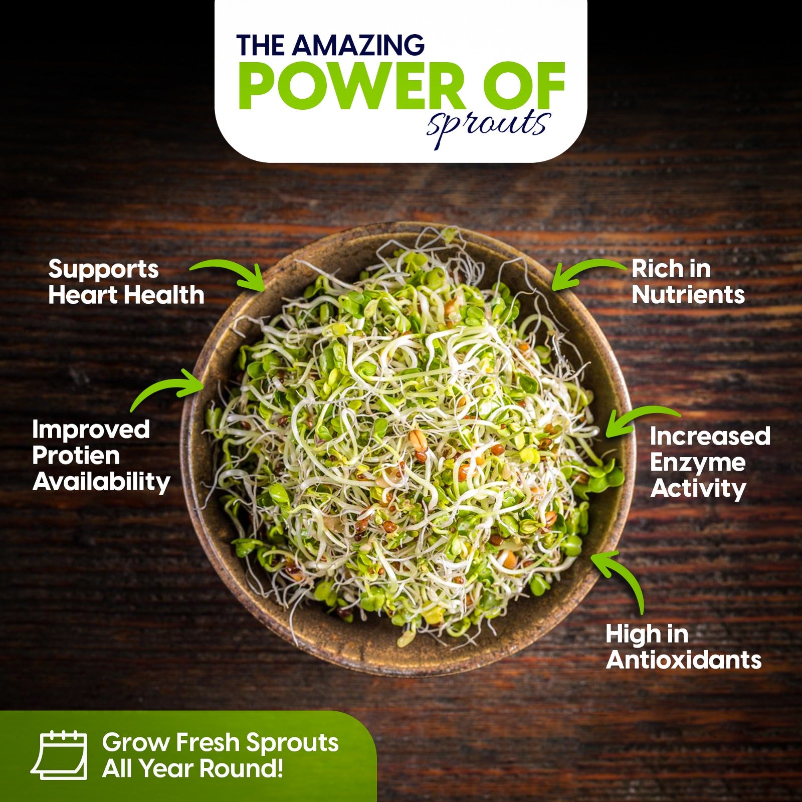 Bean Sprouts Grow Kits