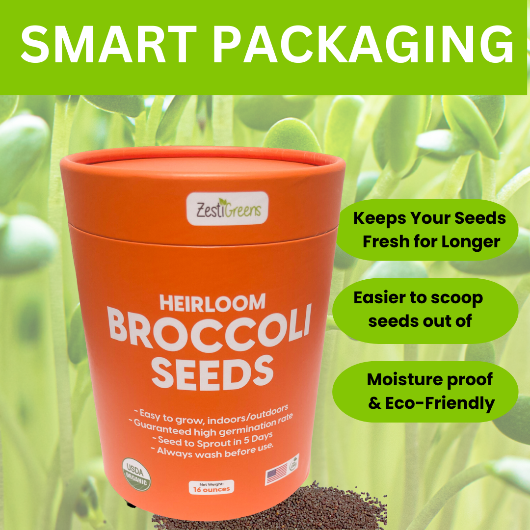 Broccoli Seeds