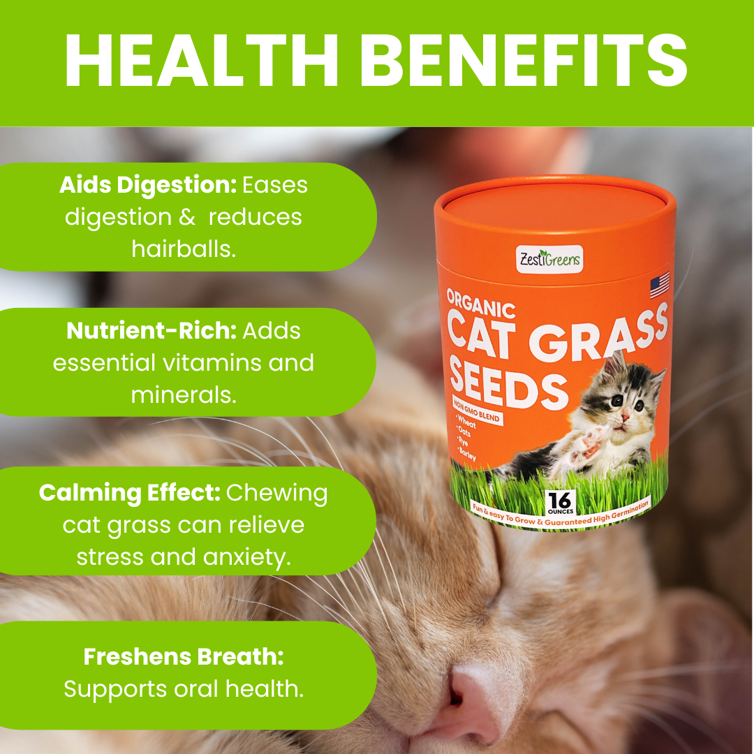 Cat Grass