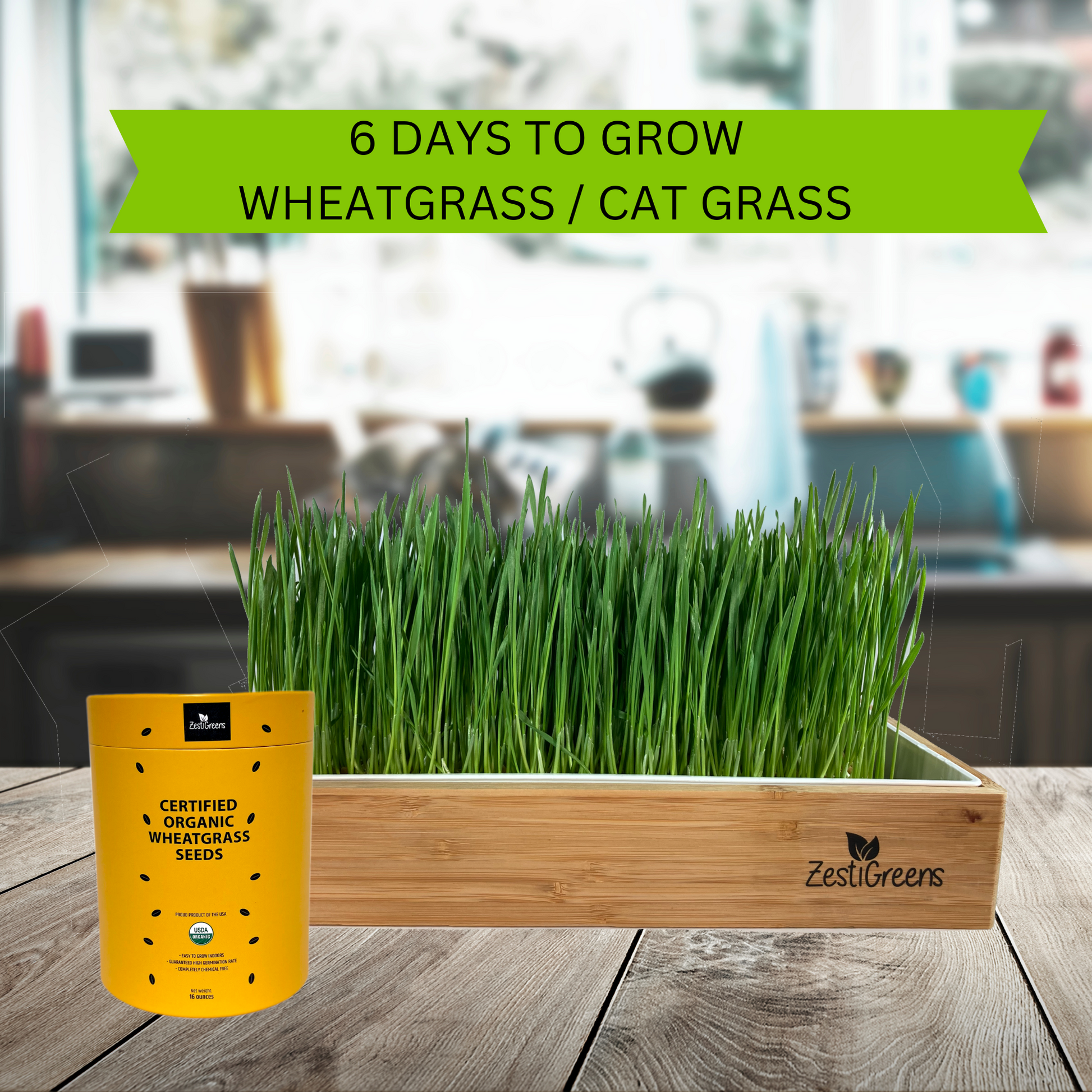 Cat Grass Kits