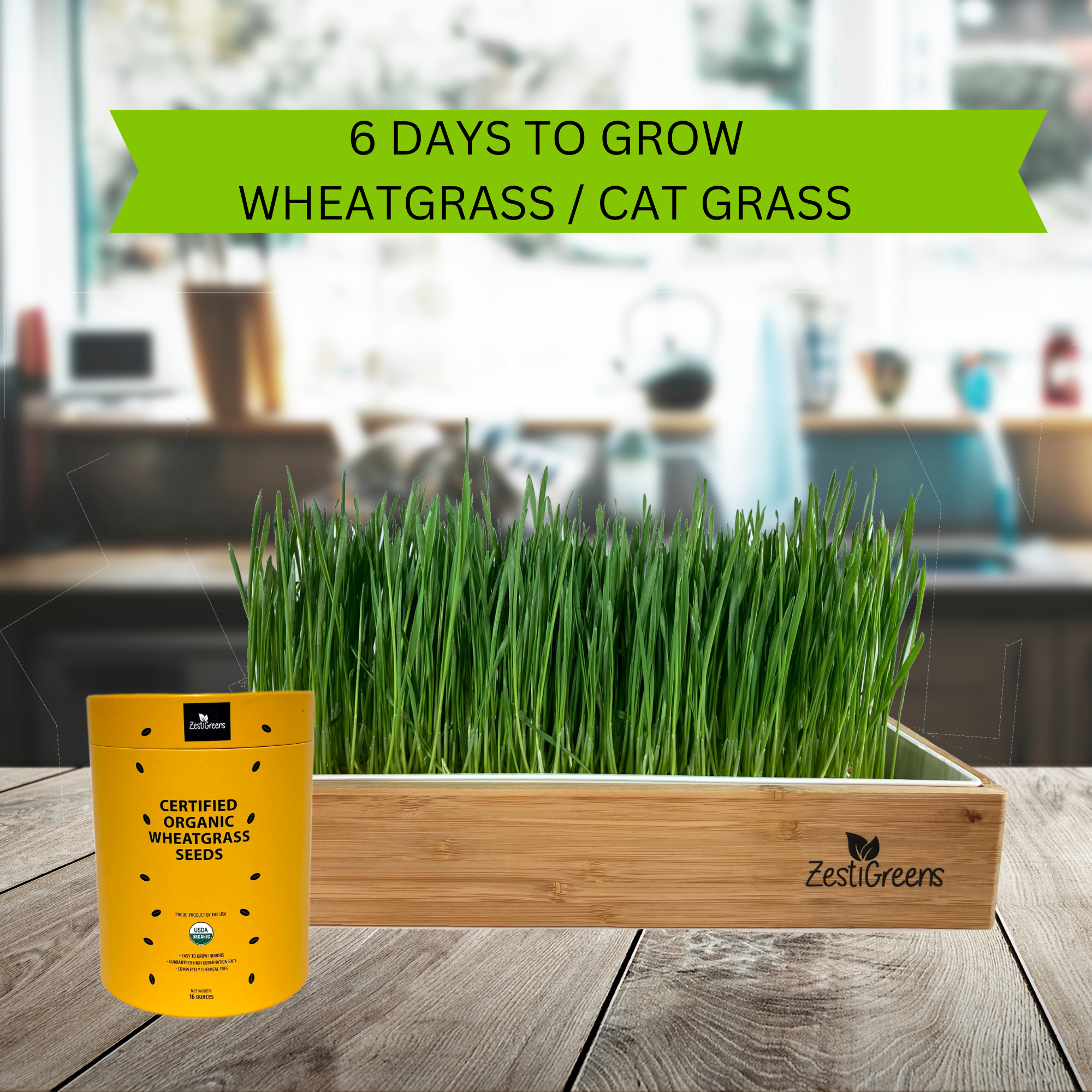 Cat Grass Kits