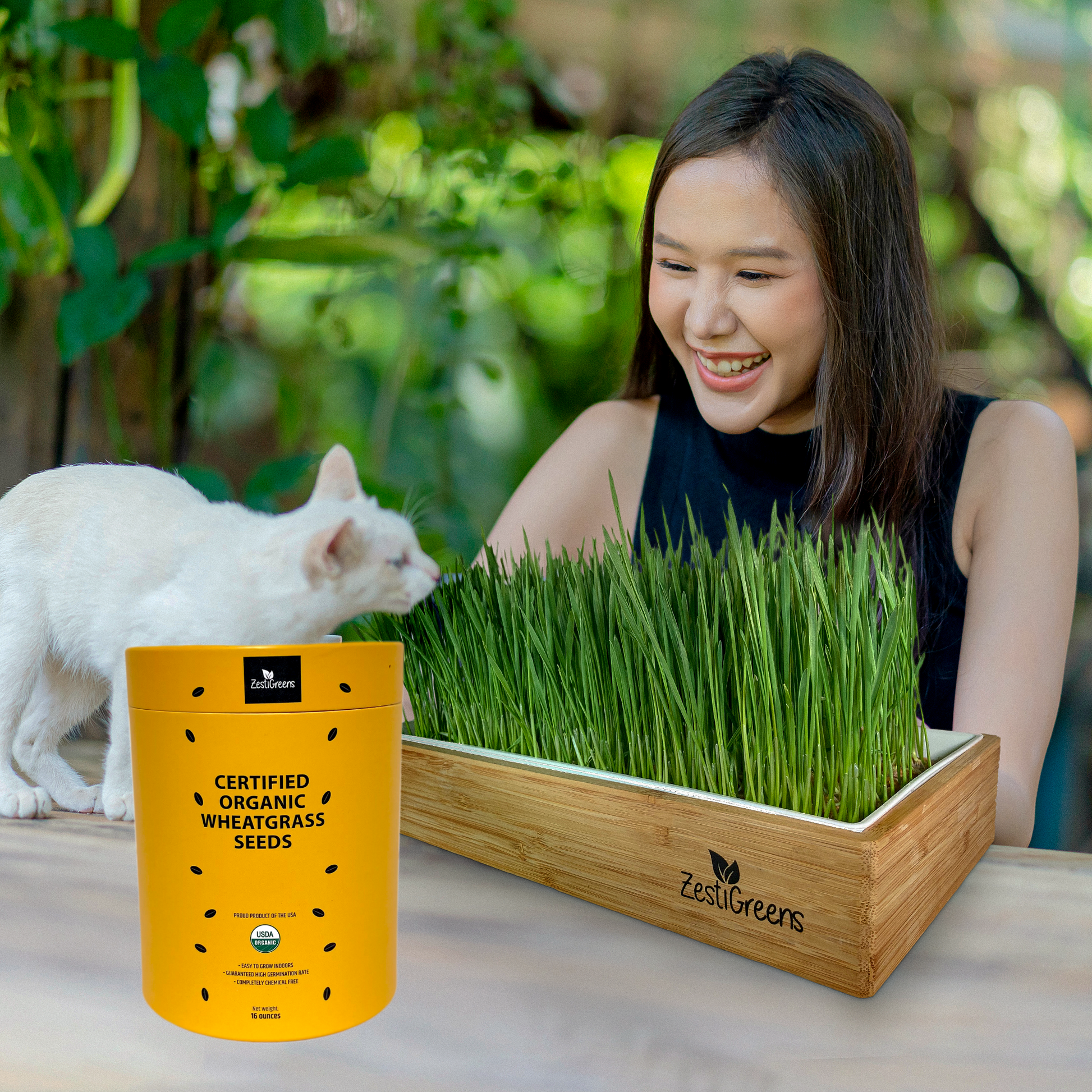 Cat Grass Seeds For Indoor Cats
