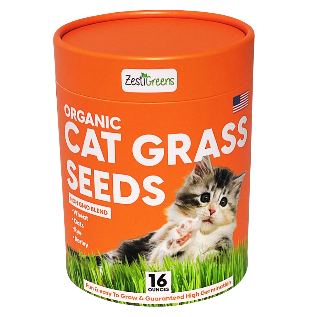 Cat Grass Seeds