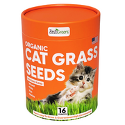 Cat Grass Seeds