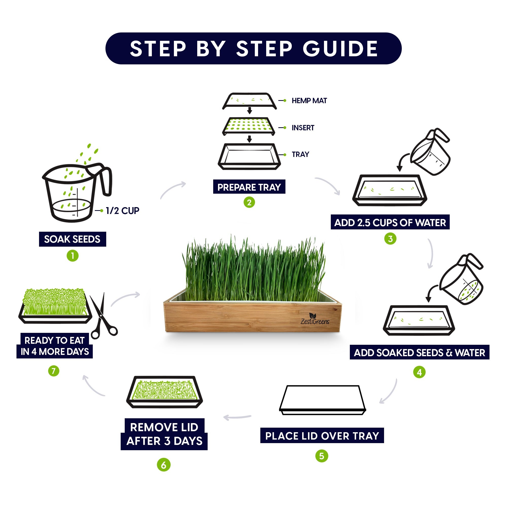 Cat Grass Refills For Self Watering Kits