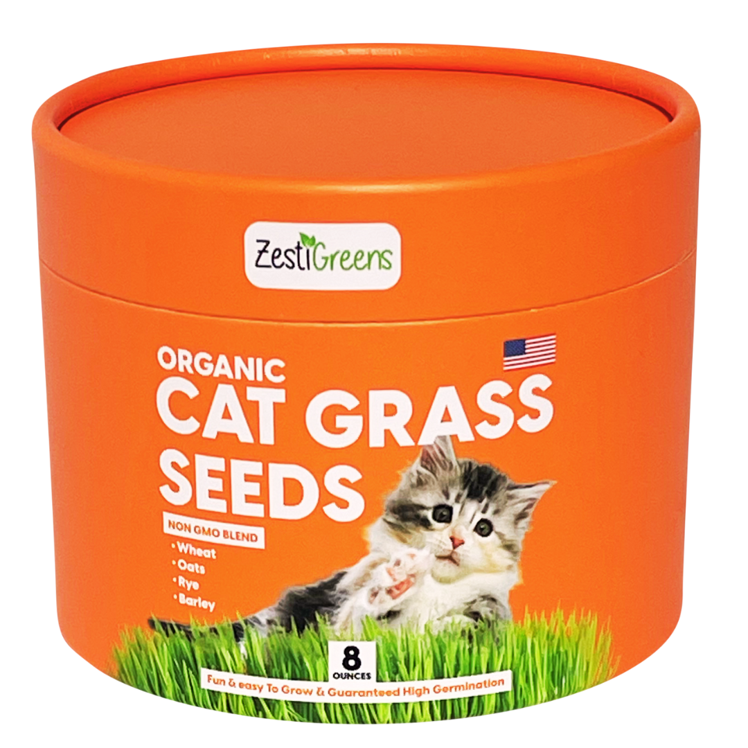 Cat Grass Seeds