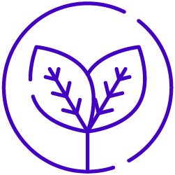 Leaf Icon