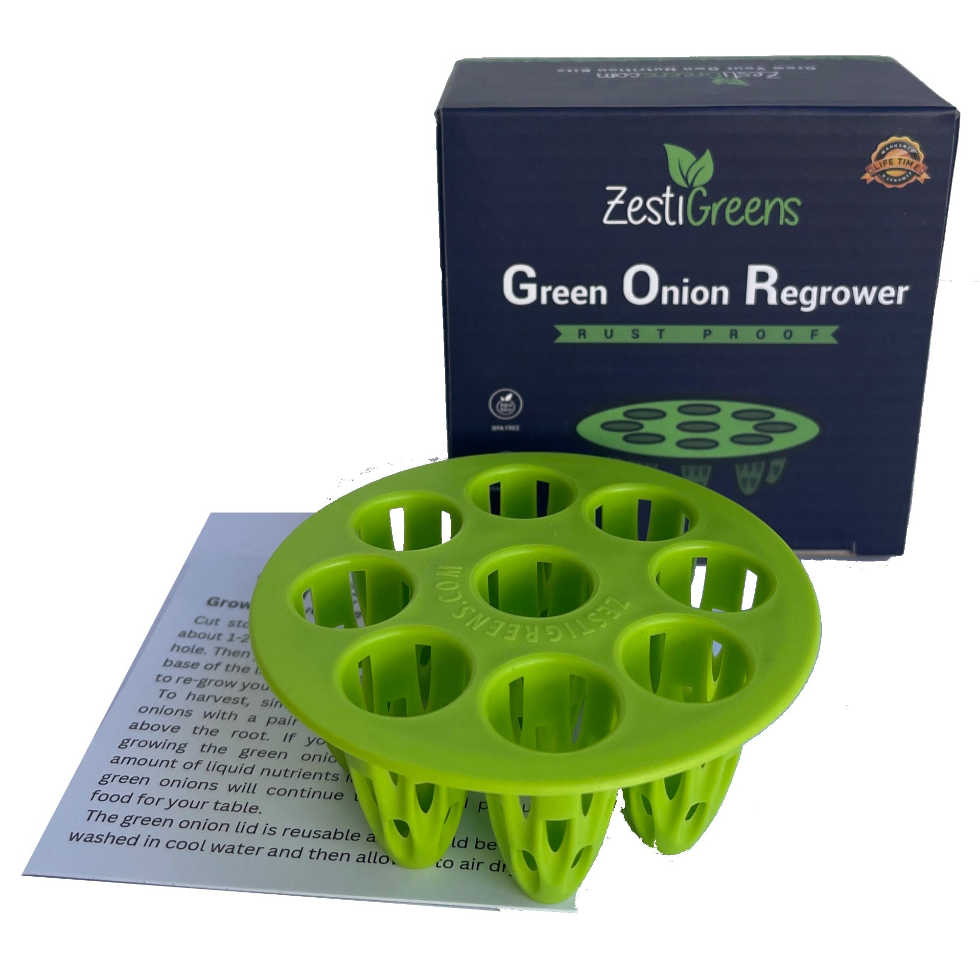 onion2‼️ Green Onion Regrower - ZestiGreens