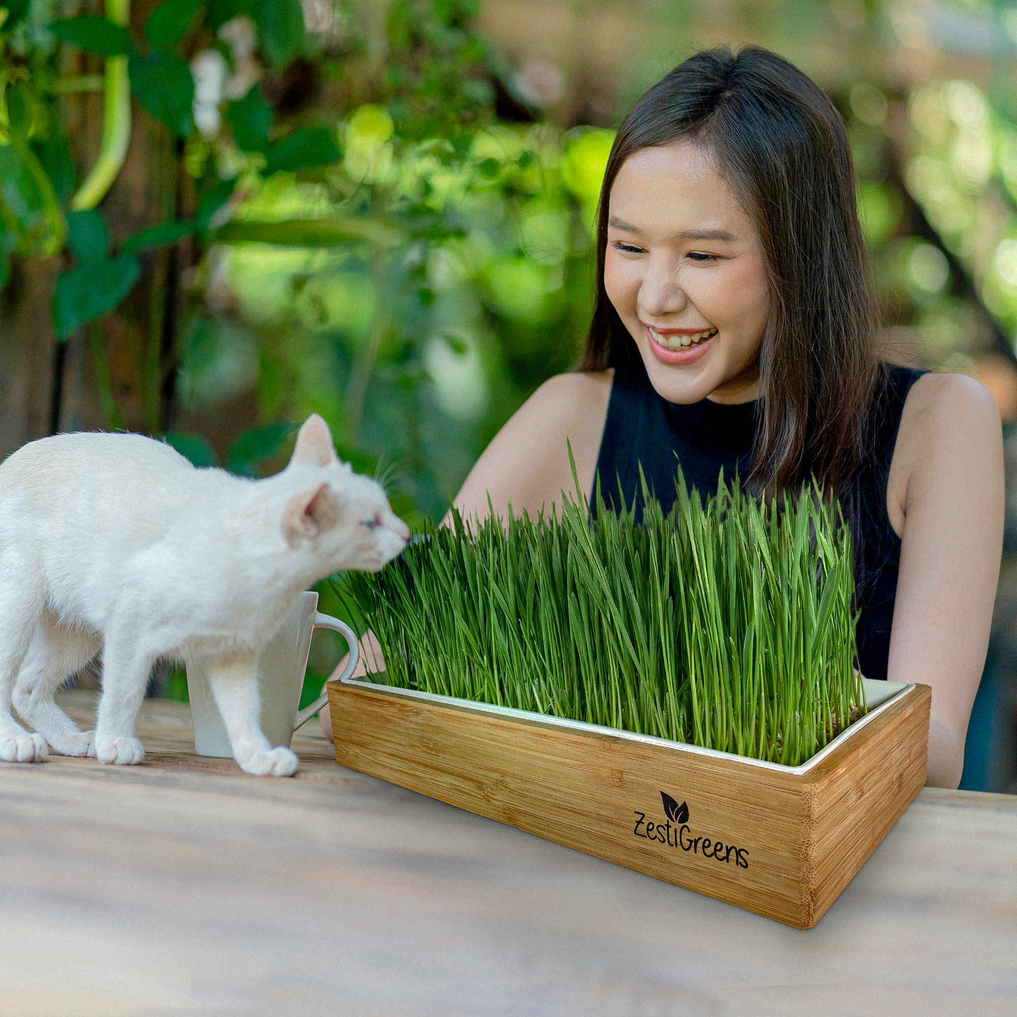 Cat With Self Watering Grass