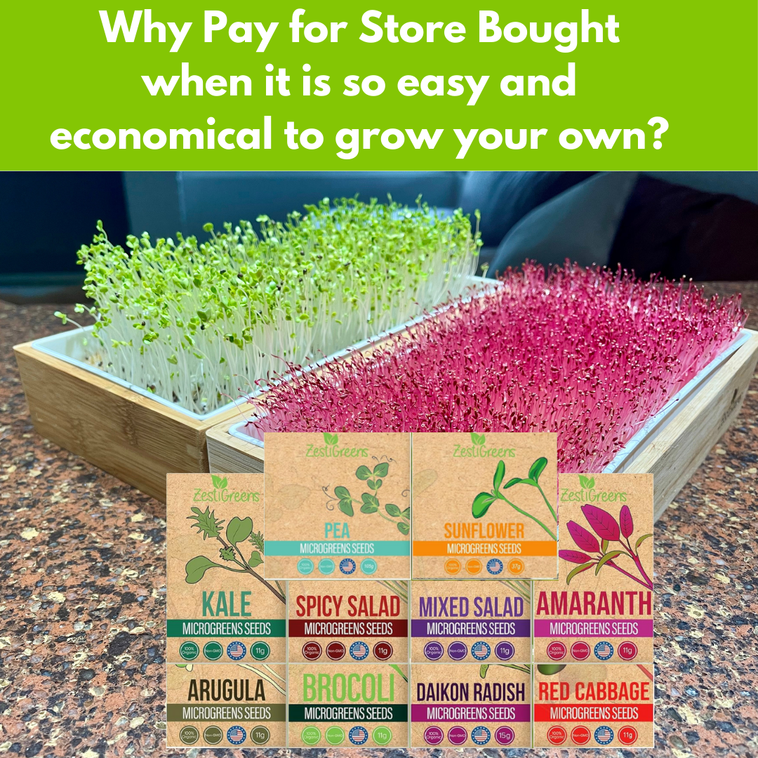 Microgreens Seeds