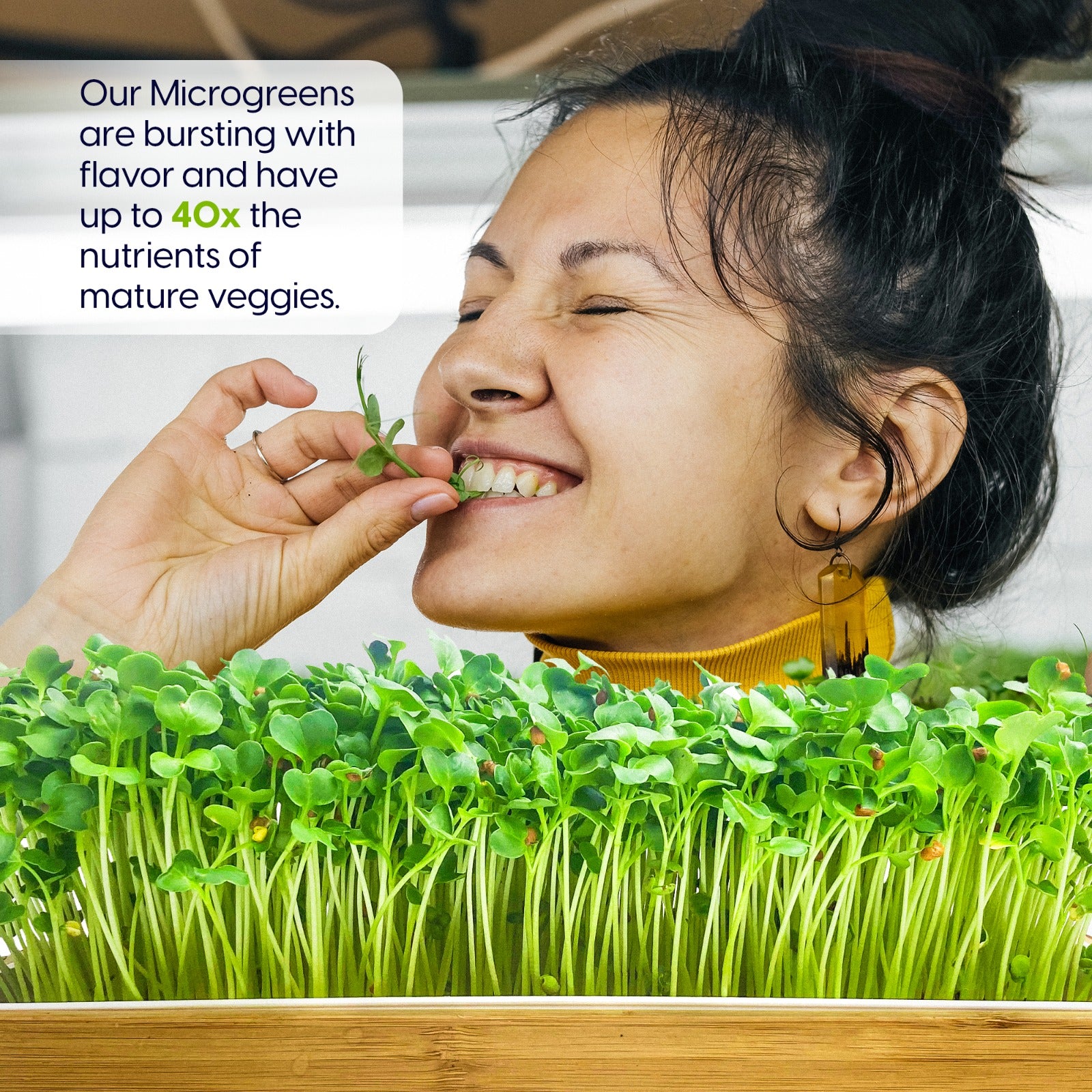 Microgreens