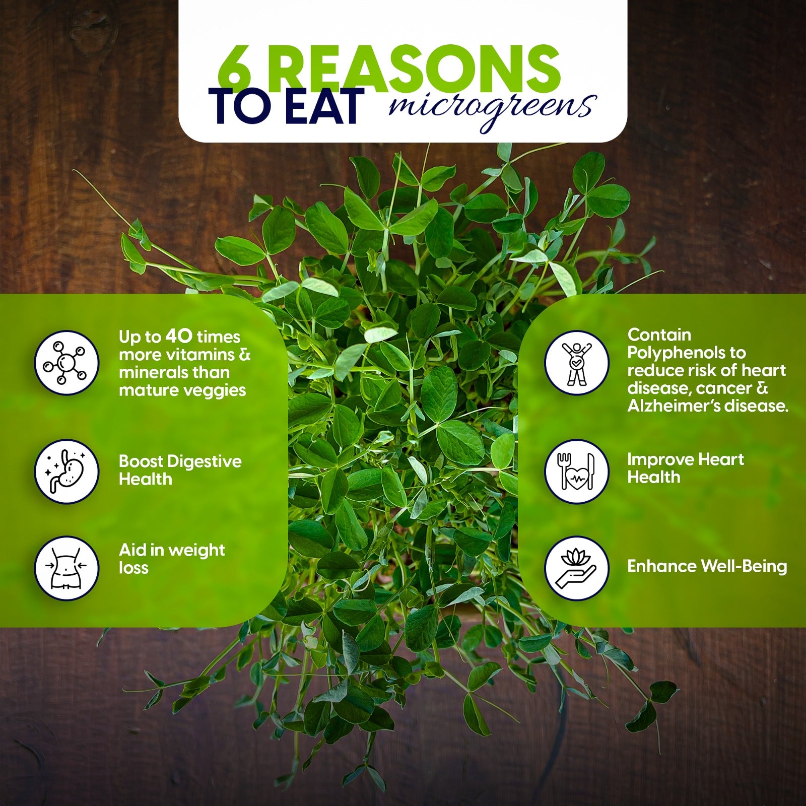 Microgreens Growing Kit