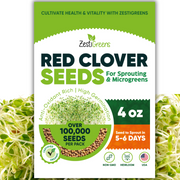 Organic Red Clover Seeds for Sprouting - Non-GMO, USA Grown Microgreens Sprouting Seeds