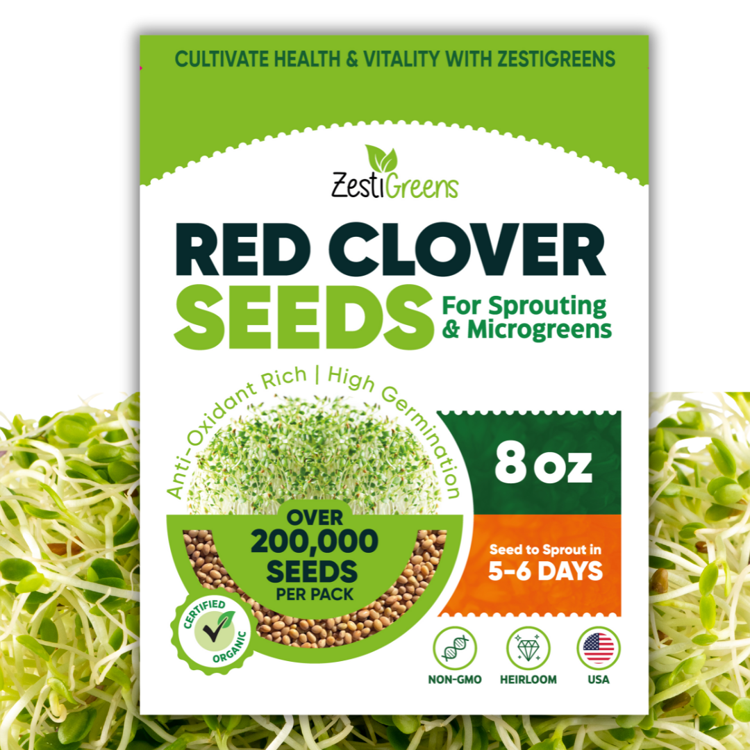 Organic Red Clover Seeds for Sprouting - Non-GMO, USA Grown Microgreens Sprouting Seeds
