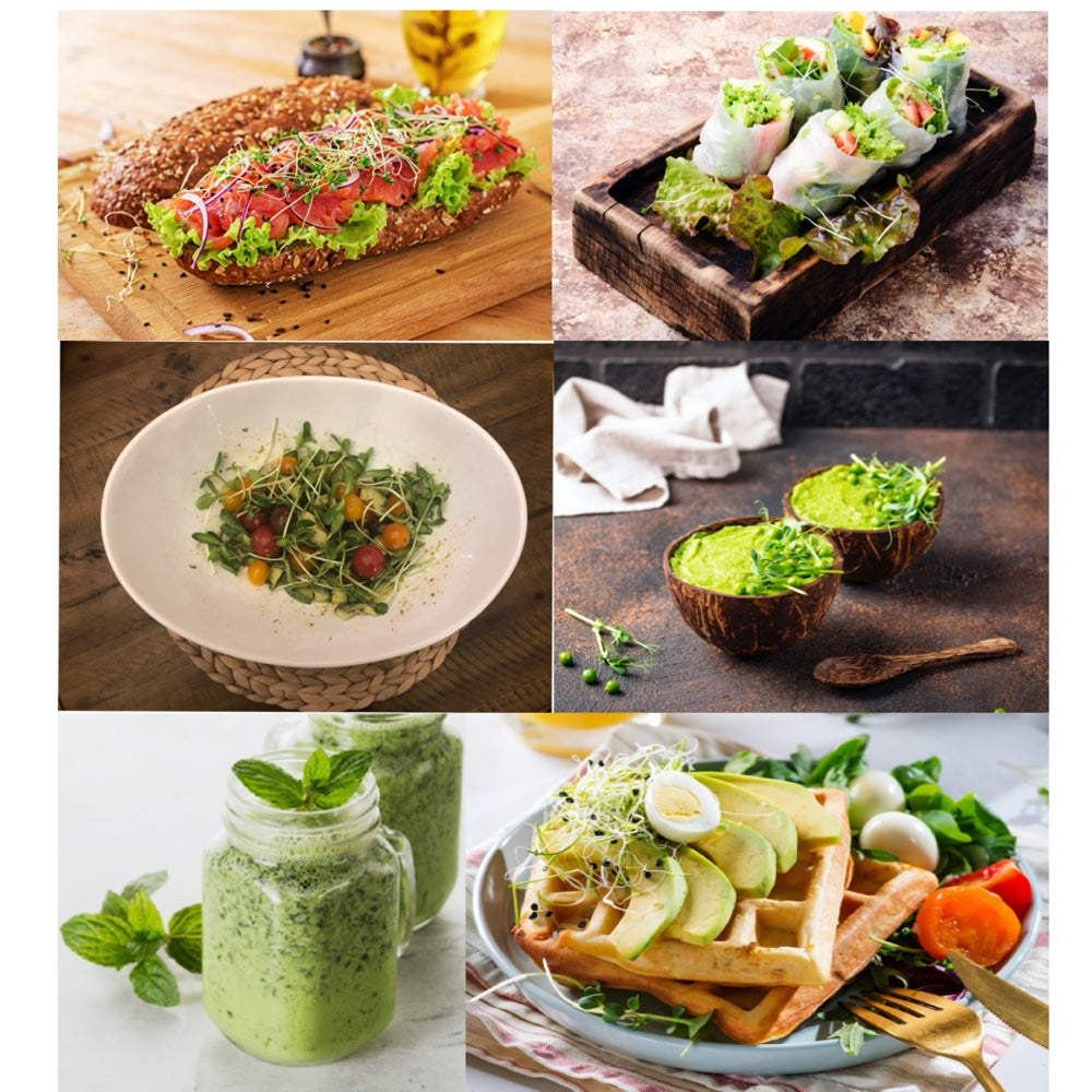 Organic Sprouting Kits