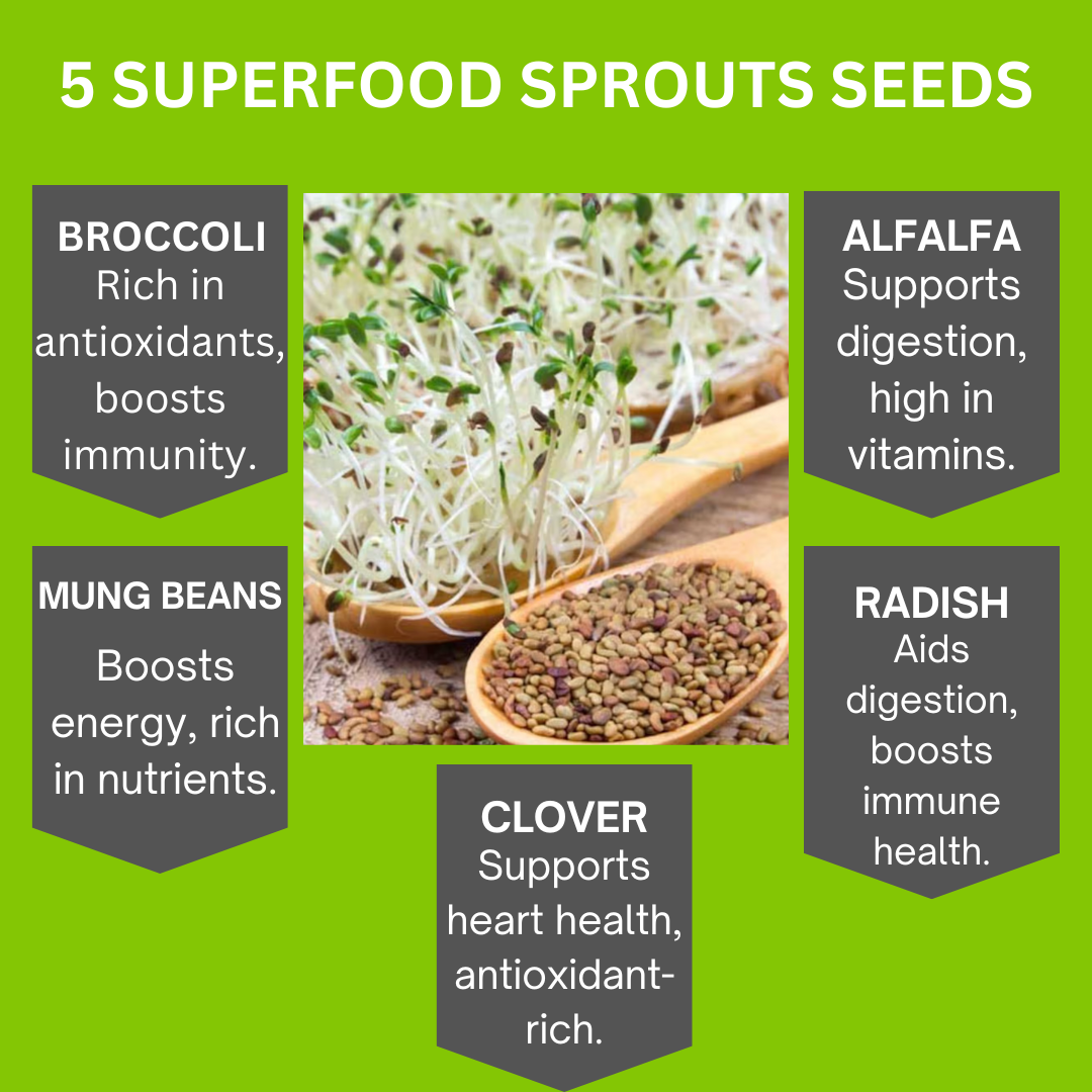 Sprouts Seeds For Sprouting Jar