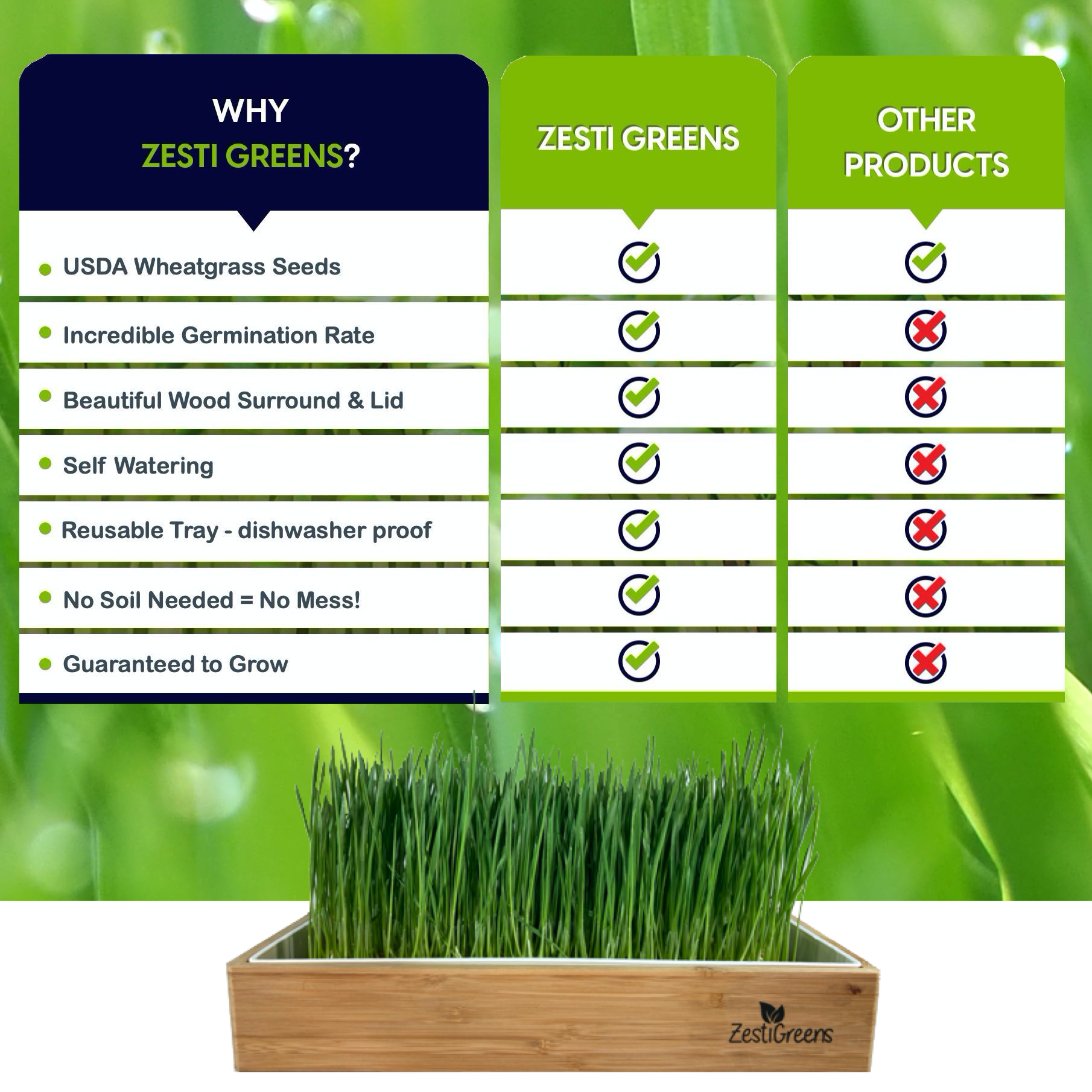 Wheatgrass Growing Kits