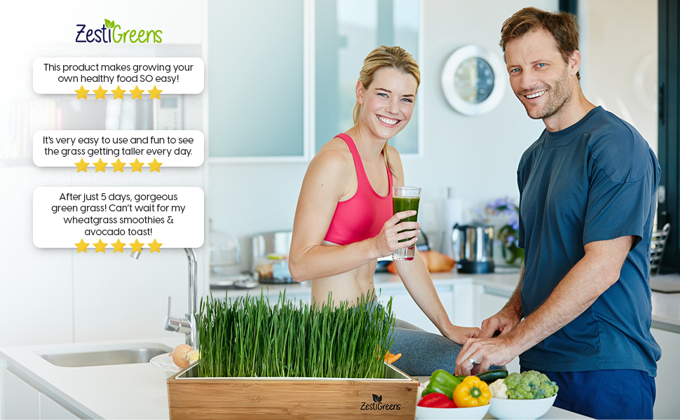 Wheatgrass Growing Kits