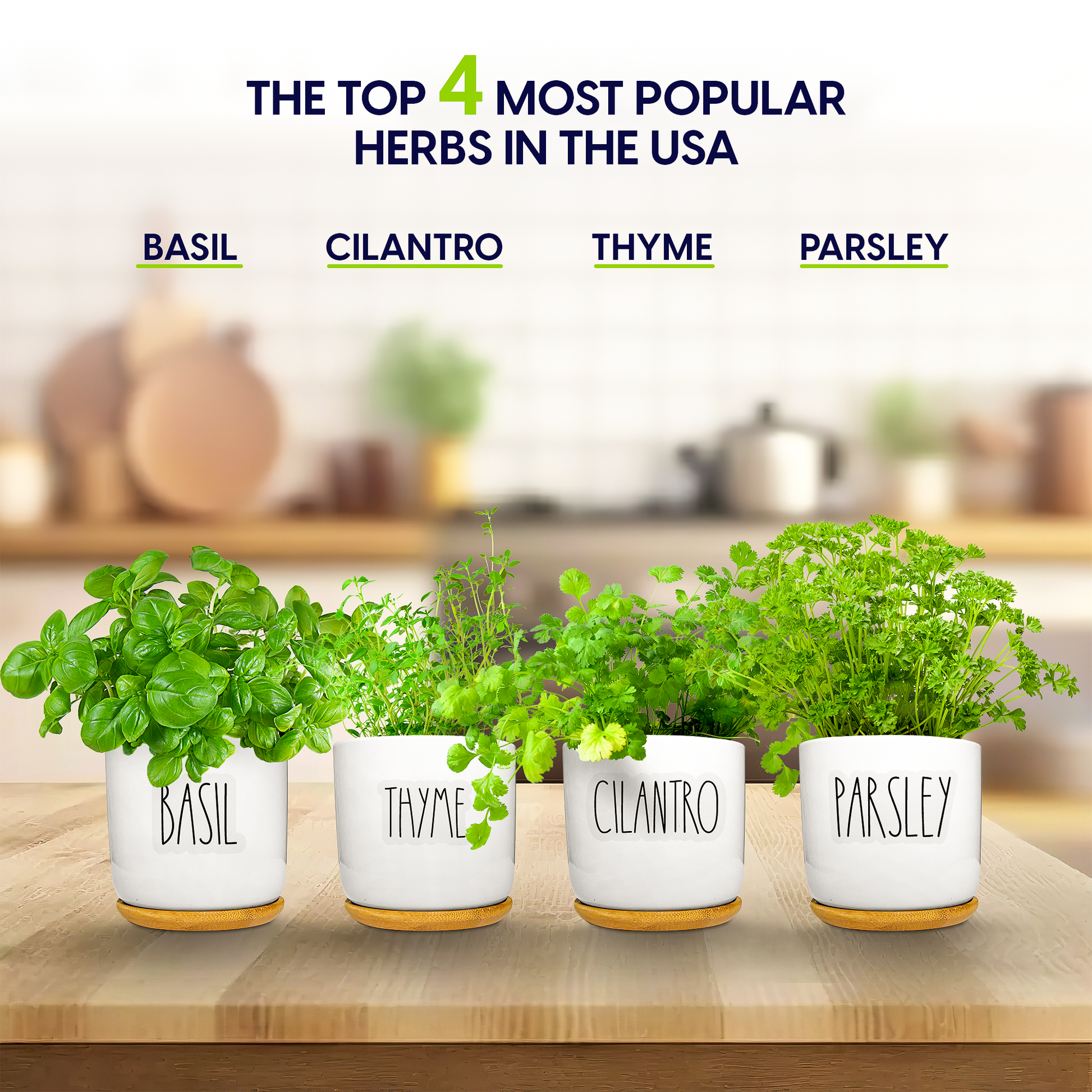 Window Herb Garden