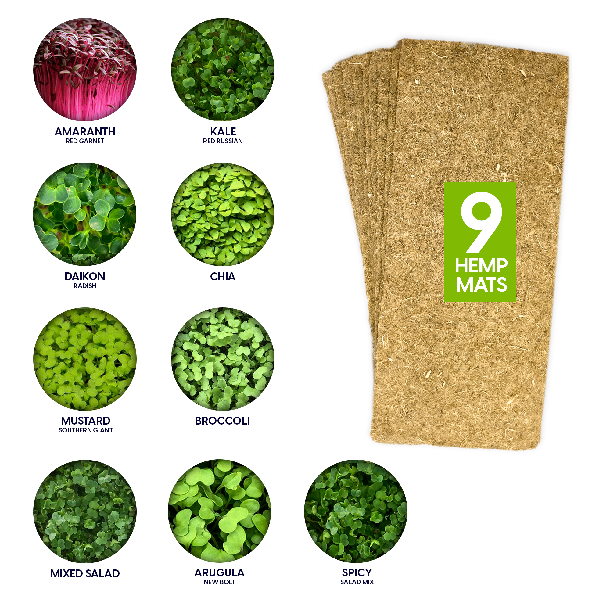 Zesti Green Microgreens Kit