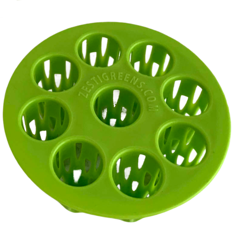 Green Onion Regrower
