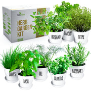 Herb Garden Kit For Indoor