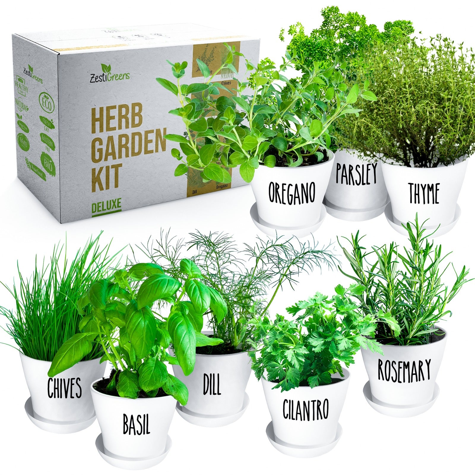 herb indoor planter box 8 Herb Garden Kit